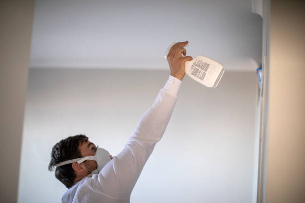 Certified Mold Removal in Selma, TX