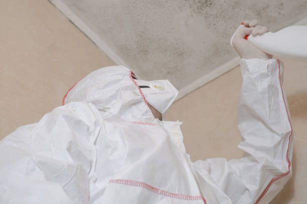 Best Commercial Mold Removal  in Selma, TX