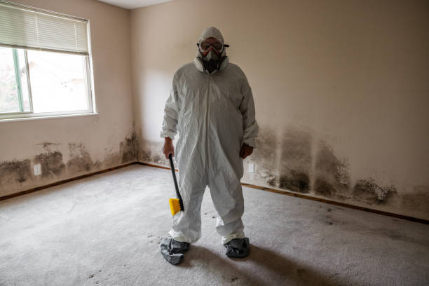 Mold Removal and Inspection in Selma, TX