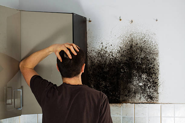 Certified Mold Removal in Selma, TX